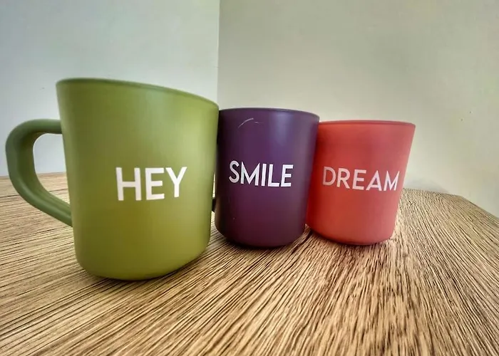 Refait à Neuf Avec Parking *